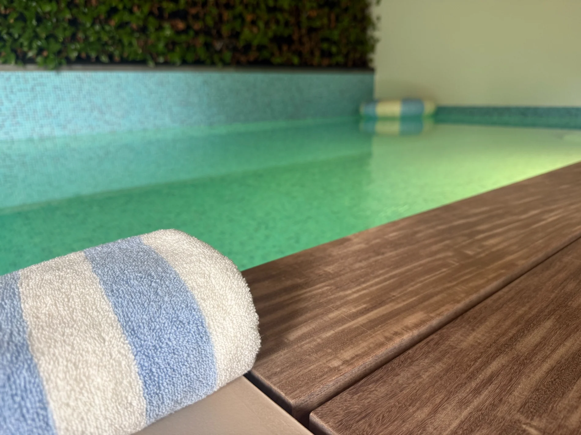 Zone 3 — Pool & wellness